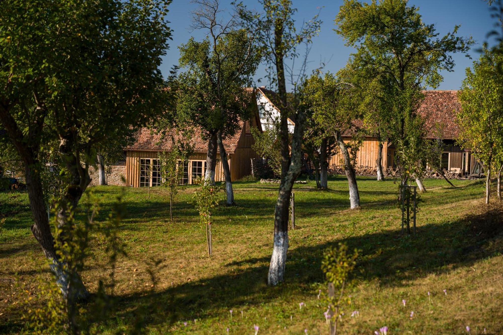 Bed and Breakfast Mesendorf Gasthaus Exterior foto